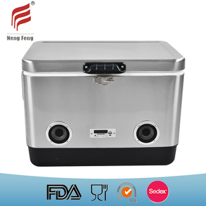 51L Cooler Box with Bluetooth Speaker